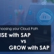 Choosing the right cloud path. RISE vs GROW with SAP